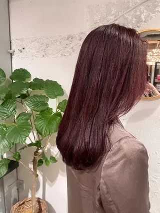 カラー ウルフ/似合わせ レイヤー/RIHOのヘアスタイル