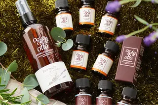 ロング 竹内 春奈のヘアスタイル