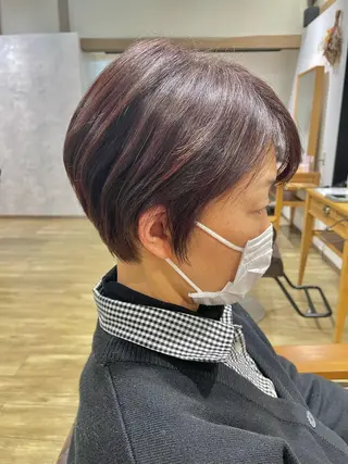 ショート 木村 真知子のヘアスタイル