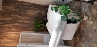 マツエク・マツパ エミタス ☆のヘアスタイル