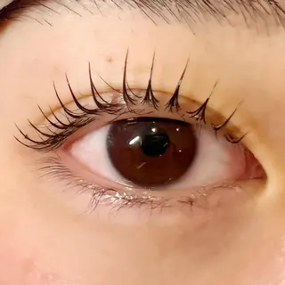 マツエク・マツパ Celeste Venus所属・🧸Celeste Venusのマツエク・マツパデザイン