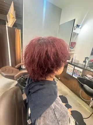 カラー 鈴木 聖のヘアスタイル