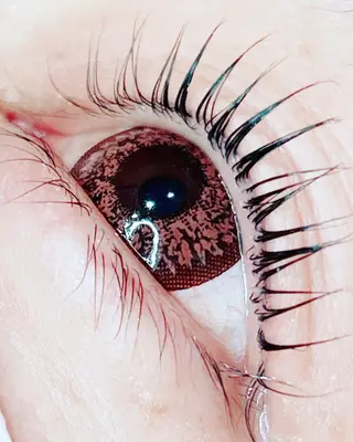 マツエク・マツパ crown KIYOMIのマツエク・マツパデザイン