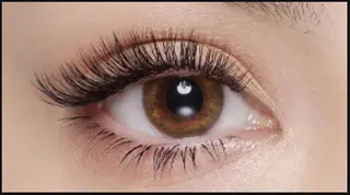 マツエク・マツパ maru -Nail&Eye-所属・maru -Nail&Eye-のマツエク・マツパデザイン