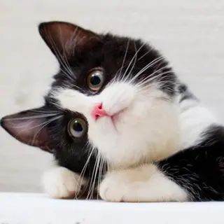 マツエク・マツパ ア メのマツエク・マツパデザイン