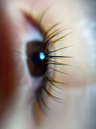 マツエク・マツパ 福島LA BEL HARUHIのマツエク・マツパデザイン