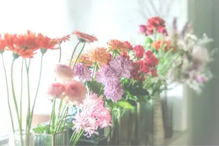 🪻花屋併設🪻秀島 有紀のヘアスタイル