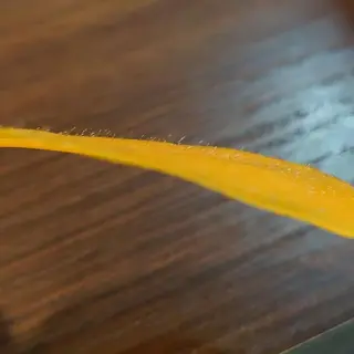 ラブニール 恵比寿店のエステ・リラクイメージ