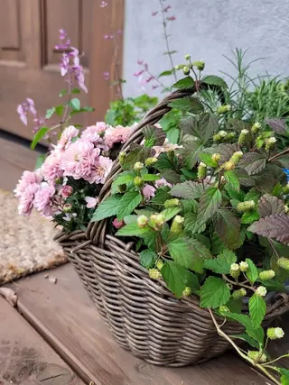 ネイル 🌲🌳🚪iiit o🌲🌳🌲のネイルデザイン