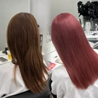 セミロング カラー ハイトーン/ 髪質改善/上質艶髪のヘアスタイル