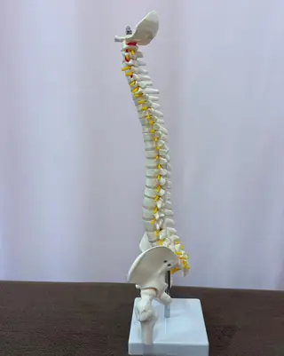 同心整骨院 美容鍼・整体・小顔のエステ・リラクイメージ