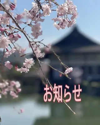 ショート カラー justbeauty CiNQのヘアスタイル