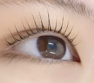 マツエク・マツパ 🌼Alba🌼 犬馬塲のマツエク・マツパデザイン