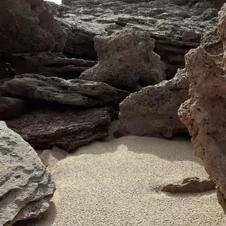 IwAsh  大和駅店所属・shiho .のヘアスタイル