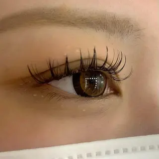 マツエク・マツパ Celeste Venus所属・🧸Celeste Venusのマツエク・マツパデザイン