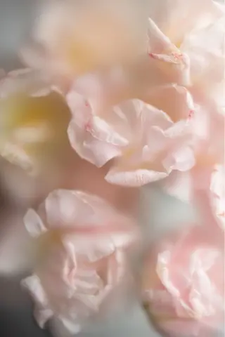 NEIGE 栗田のマツエク・マツパデザイン