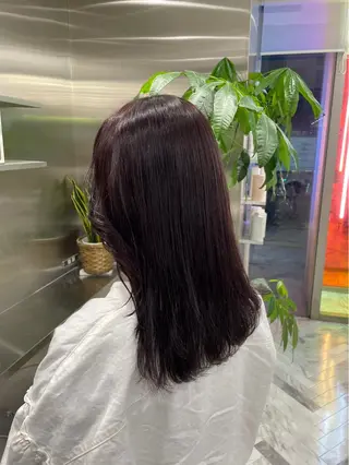 セミロング 🩵yuribou ／カラー／ボブ🩵のヘアスタイル