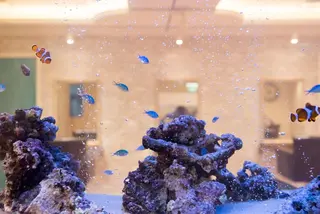 アオガミ （前髪顔周りカット）のヘアスタイル