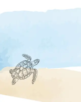 マツエク・マツパ 𓇼.⋆ 𓆉 ˖* shou shouのマツエク・マツパデザイン