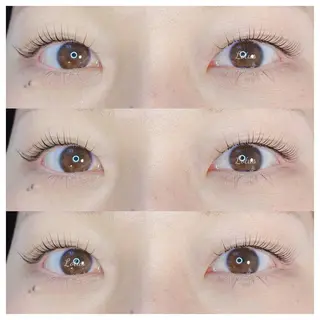 マツエク・マツパ Lotus所属・Lotus ロータスのマツエク・マツパデザイン