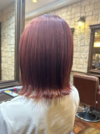 ショート カラー 🪼宮当 亜海🪼のヘアスタイル