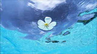 FLEUR大阪・美容 整体・痩身・小顔のエステ・リラクイメージ