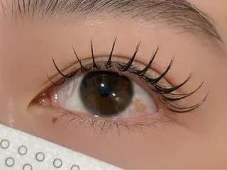 ใใใจใฏใปใใใ ๐ฒ๐ถ๐ด๐ต๐ ๐๐ข๐ก๐๐ใฎใใใจใฏใปใใใใใถใคใณ