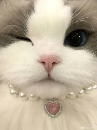 アイブロウ Lash&brow PORTE269布施店所属・brace 竹田愛海のエステ・リラクイメージ