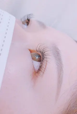 マツエク・マツパ アイブロウ/まつぱ T-lash恵比寿店のマツエク・マツパデザイン