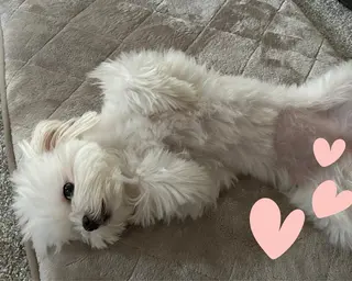 小顔×肌質改善サロン soin〔ソワン〕のエステ・リラクイメージ