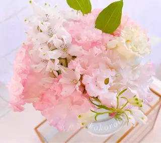 マツエク・マツパ 木場 ＊のマツエク・マツパデザイン