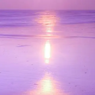 マツエク・マツパ KURUMI🦋 まつエクまつパ美眉のマツエク・マツパデザイン