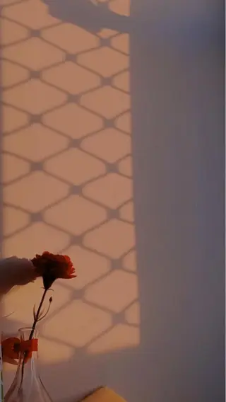 Iwasaki Nene☾店長のマツエク・マツパデザイン