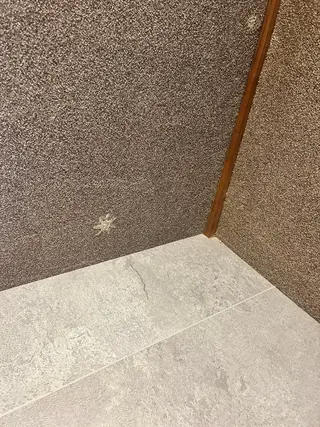 はまかわ こころのヘアスタイル