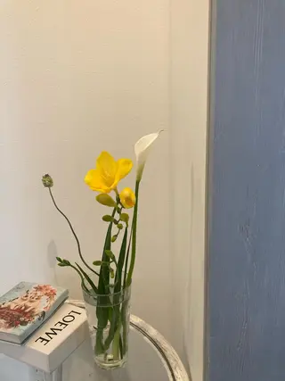 auladenail アウラデネイルのネイルデザイン