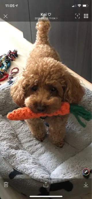 脱毛サロン RP（ルピ）のエステ・リラクイメージ