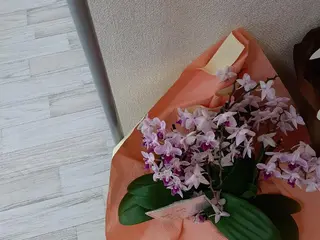 LOVE ホワイトニング下北沢のエステ・リラクイメージ