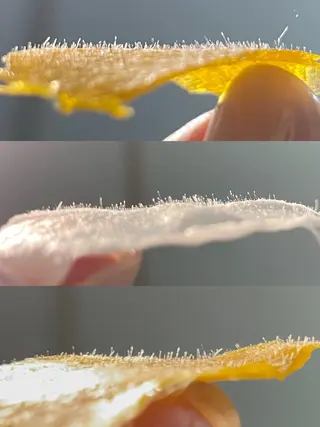 New所属・New __のその他イメージ