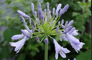 プライベートサロン 花水月のエステ・リラクイメージ