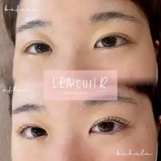 マツエク・マツパ Fujimoto 🦭⸝⋆꙳のマツエク・マツパデザイン