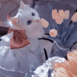 マツエク・マツパ eyelist. mizuki🐈⬛の眉毛・アイブロウイメージ