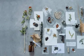 本格ヘッドスパ🌿 ×ヘア　佐藤のヘアスタイル