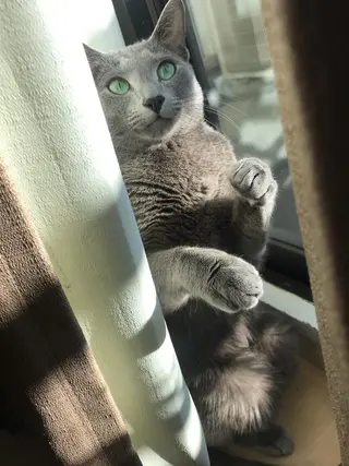 ショート カラー パーマ ヘアアレンジ メンズ キッズ ネイル マツエク・マツパ アニメ,Vオタク× 即効痩せエステサロンのエステ・リラクイメージ