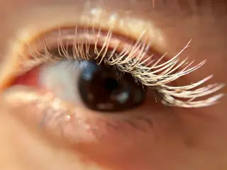 マツエク・マツパ komatsu eyelash恵比寿のマツエク・マツパデザイン