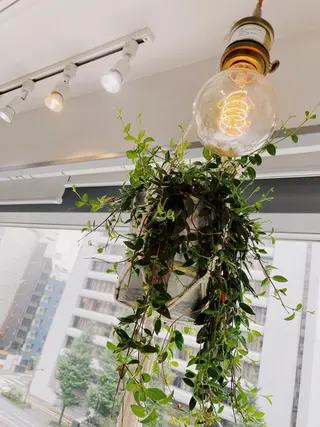 ショート・ボブ💫 シブヤトモヒロのヘアスタイル