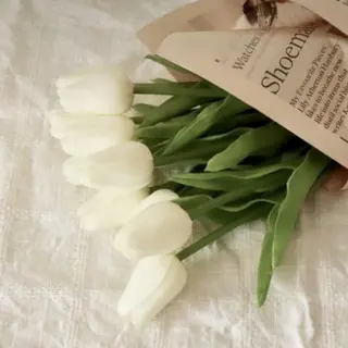 ネイル nicolenail /emureのネイルデザイン