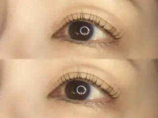 マツエク・マツパ 《eyelash ｉｉｔｅ》森のマツエク・マツパデザイン