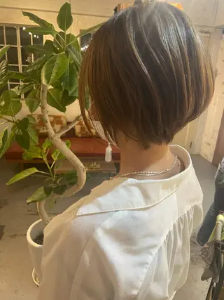 ショート 泊 紗羅のヘアスタイル