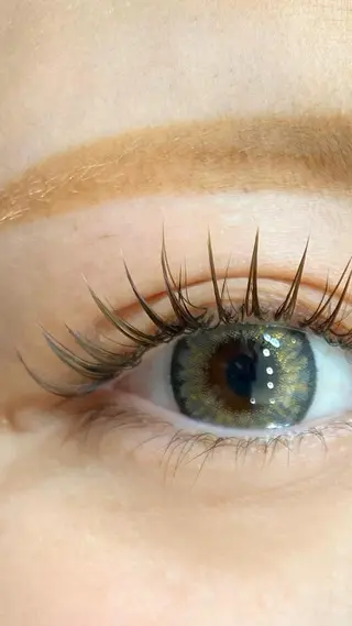 マツエク・マツパ Crescent Eye Ayakaのマツエク・マツパデザイン