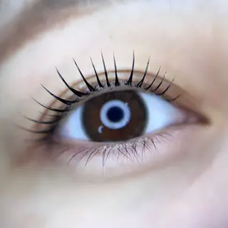 マツエク・マツパ ar...beauty salon所属・藤原 茜のマツエク・マツパデザイン